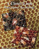 Basic Honey Bee Biology - A Closer Look