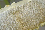 Cut Comb Foundation-Medium