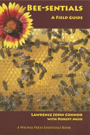Bee-sentials- A Field Guide