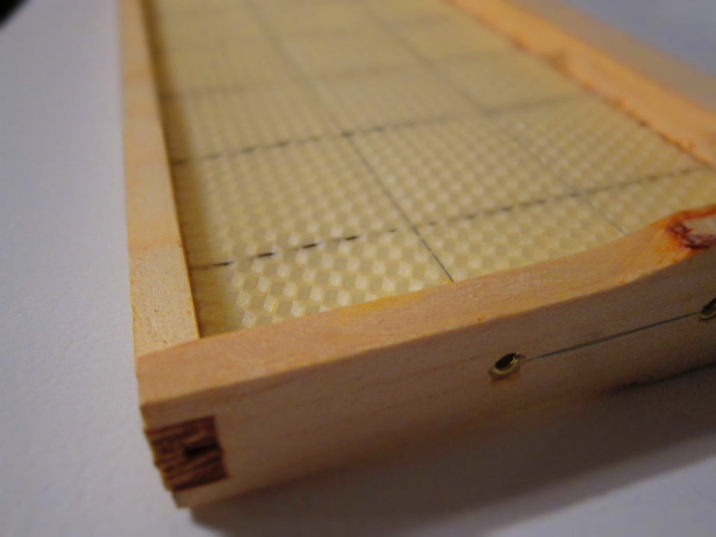 Assembled Wooden frames w/ Pure Beeswax Foundation - Deep