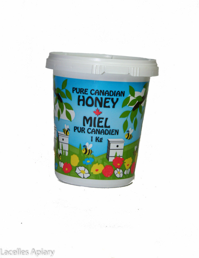 Painted Plastic Container- 1 Kilo
